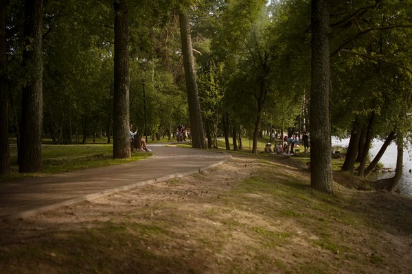 Wie kann Aromatherapie zur StressbewÃ¤ltigung beitragen?