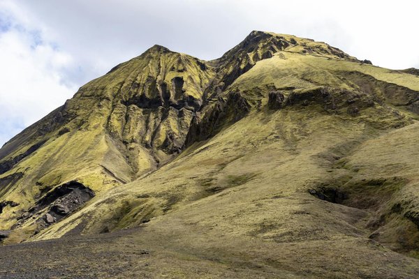 Wie kann eine gesunde ErnÃ¤hrung das Immunsystem unterstÃ¼tzen?